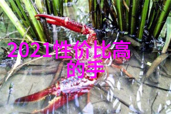 温柔的承诺宝贝放轻松爱语中的慰藉