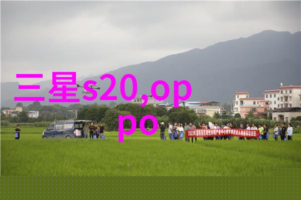 客厅餐厅二合一装修效果图-和谐共融创意设计的客厅餐厅二合一空间奇迹