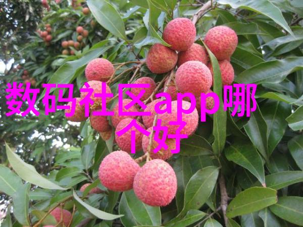 YW.1688.龙物视频我在网上发现了一个超有趣的频道它叫做龙物视频里面全是关于那些神奇生物的故事和