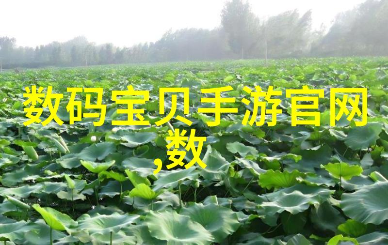 客厅大了怎么隔断好看