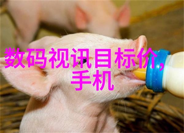 水质检测仪器厂家确保清洁饮用水的标准化