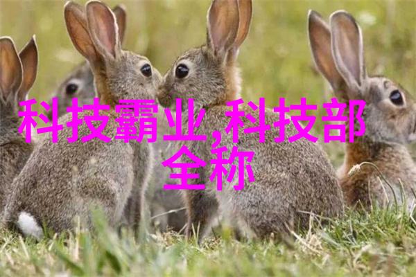 原始战记古代部落的生死斗争古代部落之间的残酷战争