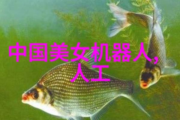 滚筒干燥设备概述