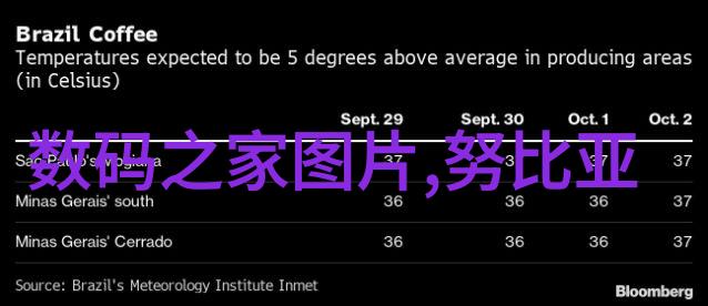 我应该采用冷温暖白还是深沉的黑暗调系作为我的主打风格呢