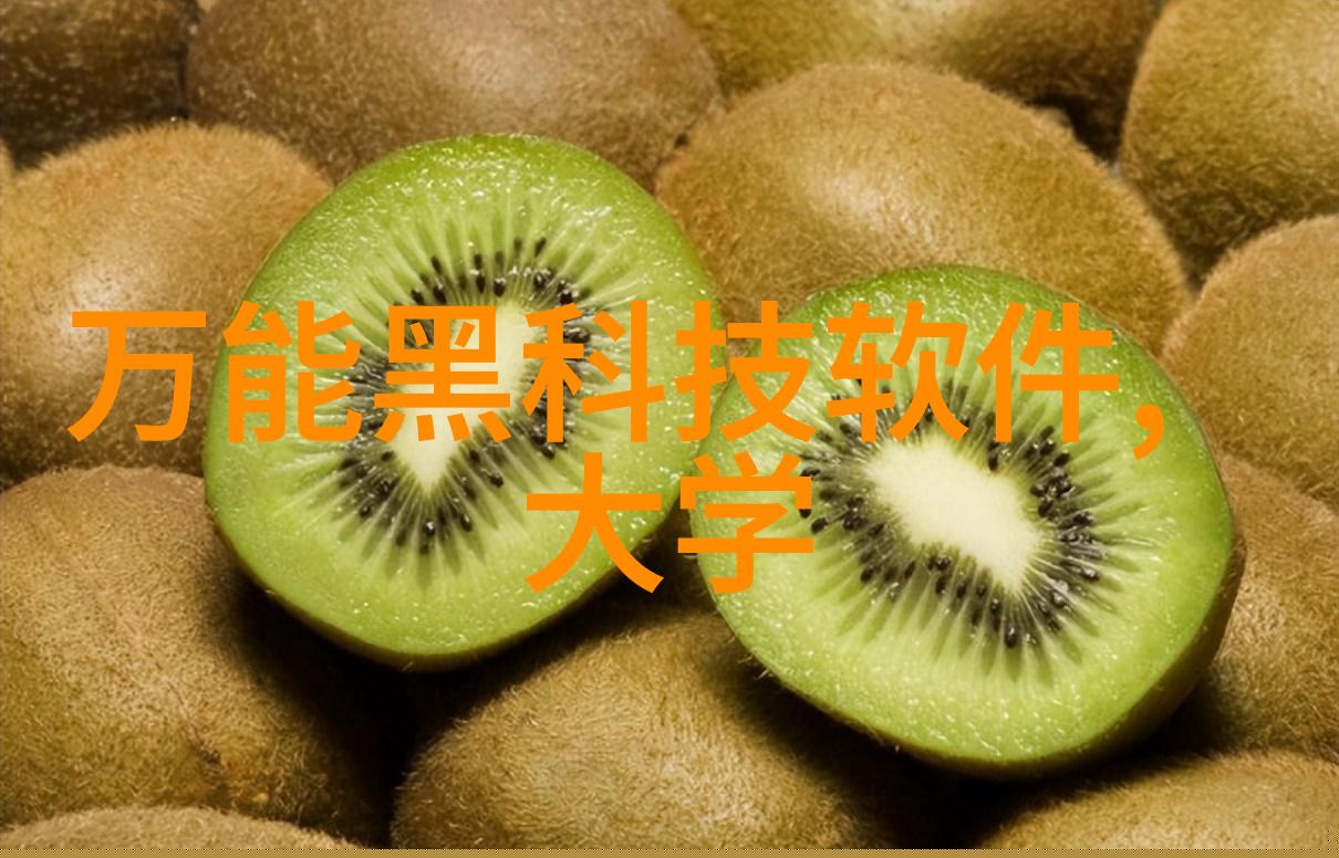 微小奇迹芯片的无形力量