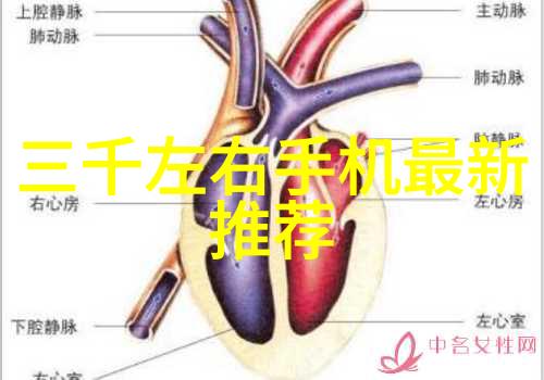 智能交通系统能否彻底解决交通堵塞问题