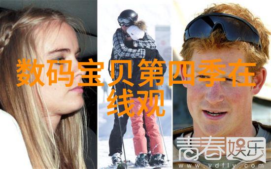 情人节元宵节庆祝活动传统文化与现代浪漫的融合