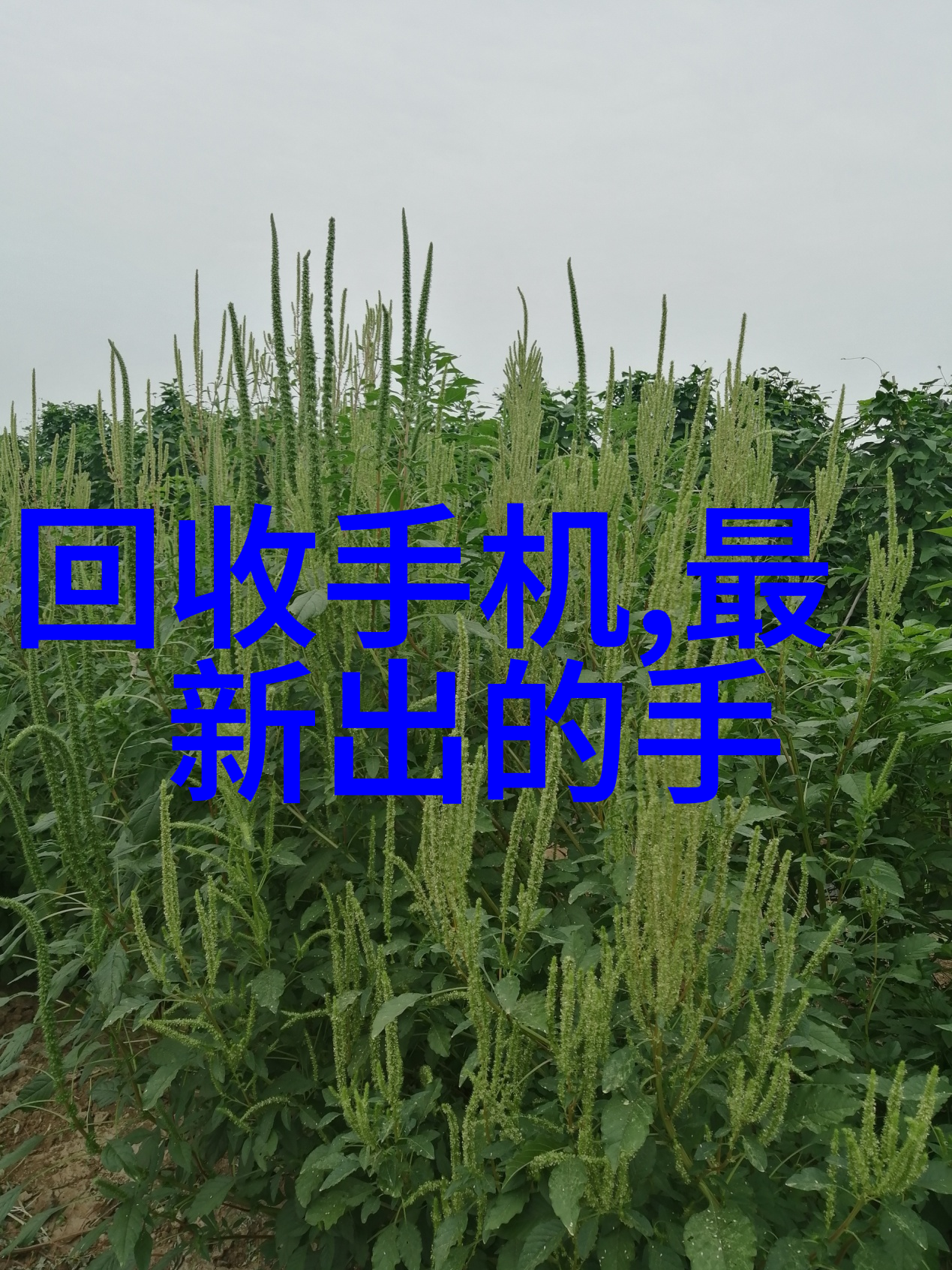 管道尺寸标准规格表全面的工业流体传输解决方案