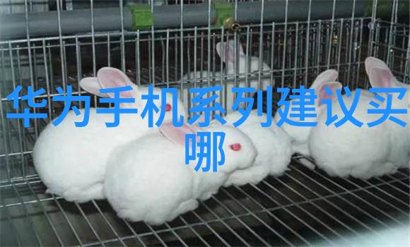 家居生活的艺术空间交换卧室新篇章