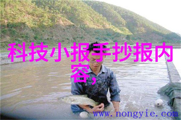 主题我在sao48.com上发现了一个超有趣的游戏