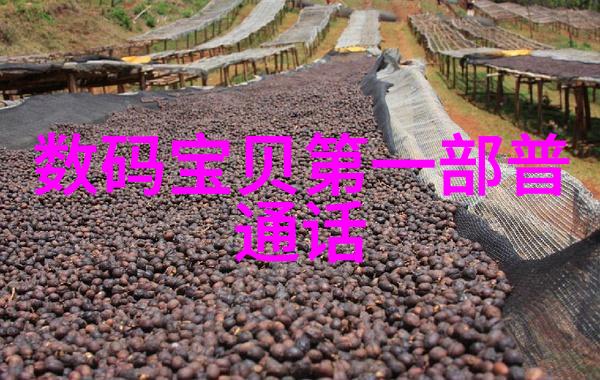 探究多功能水质检测笔在环境监测和公共卫生领域的应用价值与局限性