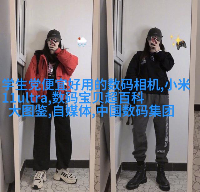 轮毂覆盖