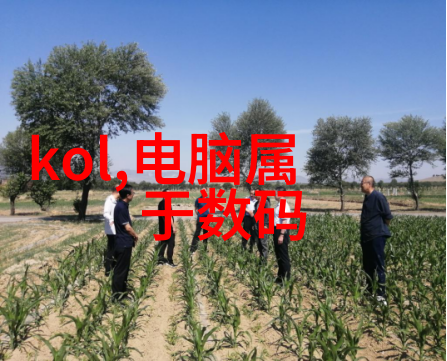 工业用天然气燃烧机背后的神秘与技术之谜
