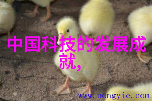 交通智能网未来城市交通的智慧革新