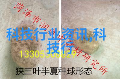 西南财经政法大学领航未来铸就辉煌