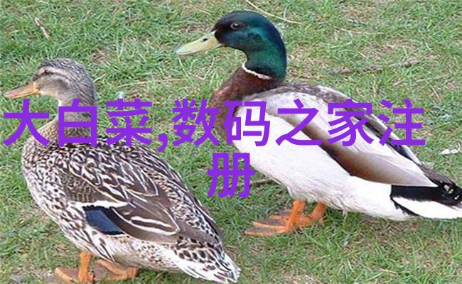 手机配件网我是如何在超级划算之日发现一款神奇的手机支架的