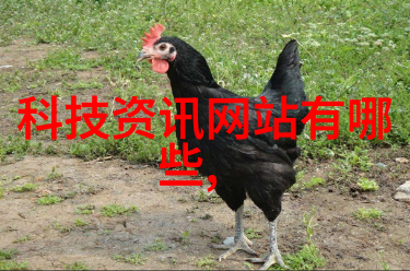 化工消毒灭菌全面革新安全守护