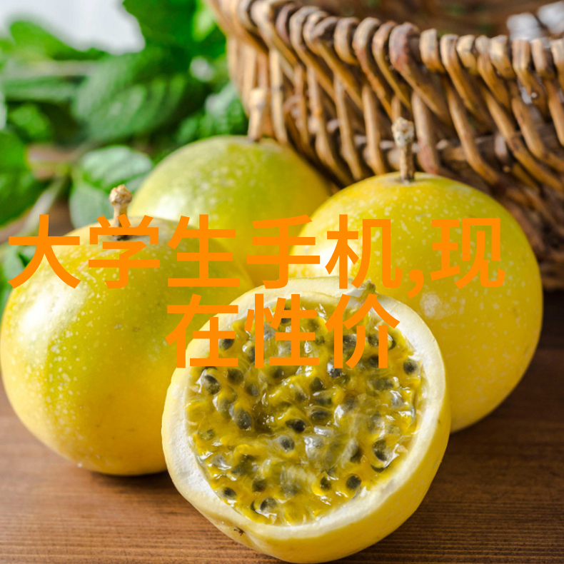 城市供水系统管道选择的技术与经济考量分析