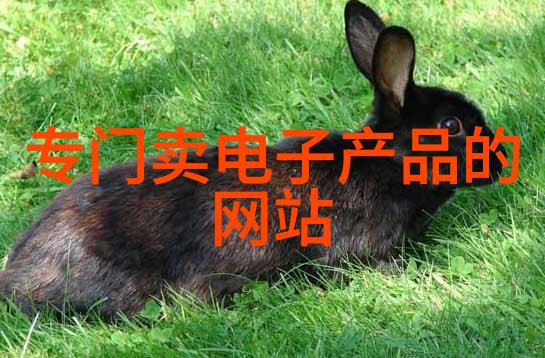 家庭温馨记忆客厅里的故事与时光