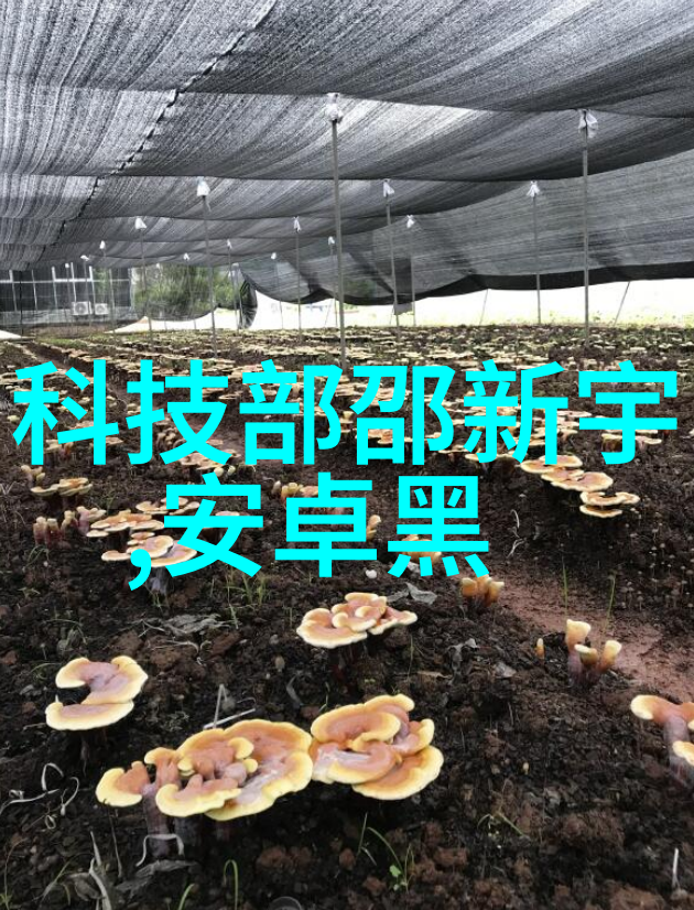 消毒液生产设备配置高效消毒剂生产线