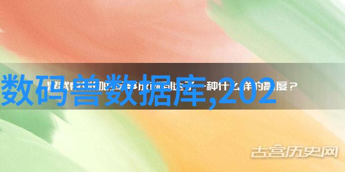 现代化施工升降机的运用与发展
