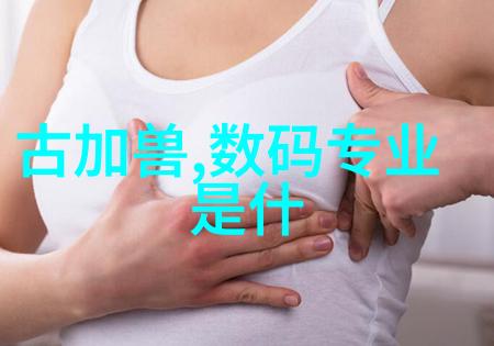 不锈钢矩鞍环填料规范与应用概述