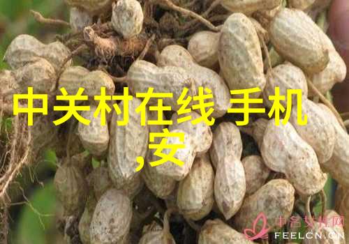 英文学习中的常见错误及其纠正方法