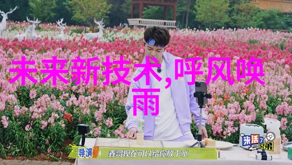 我来告诉你什么是芯片