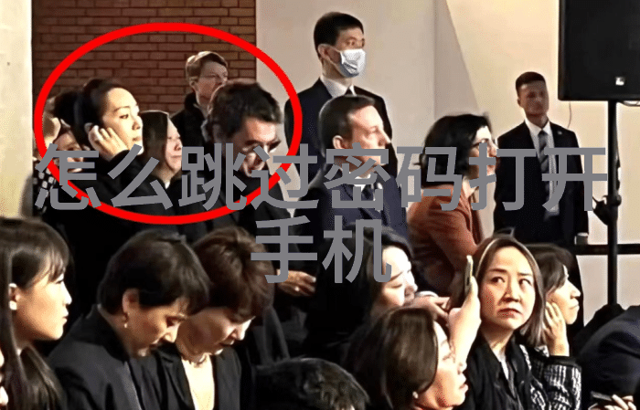 一进一出BGM试看-旋律间奏出的欢愉探索一进一出背景音乐的魅力