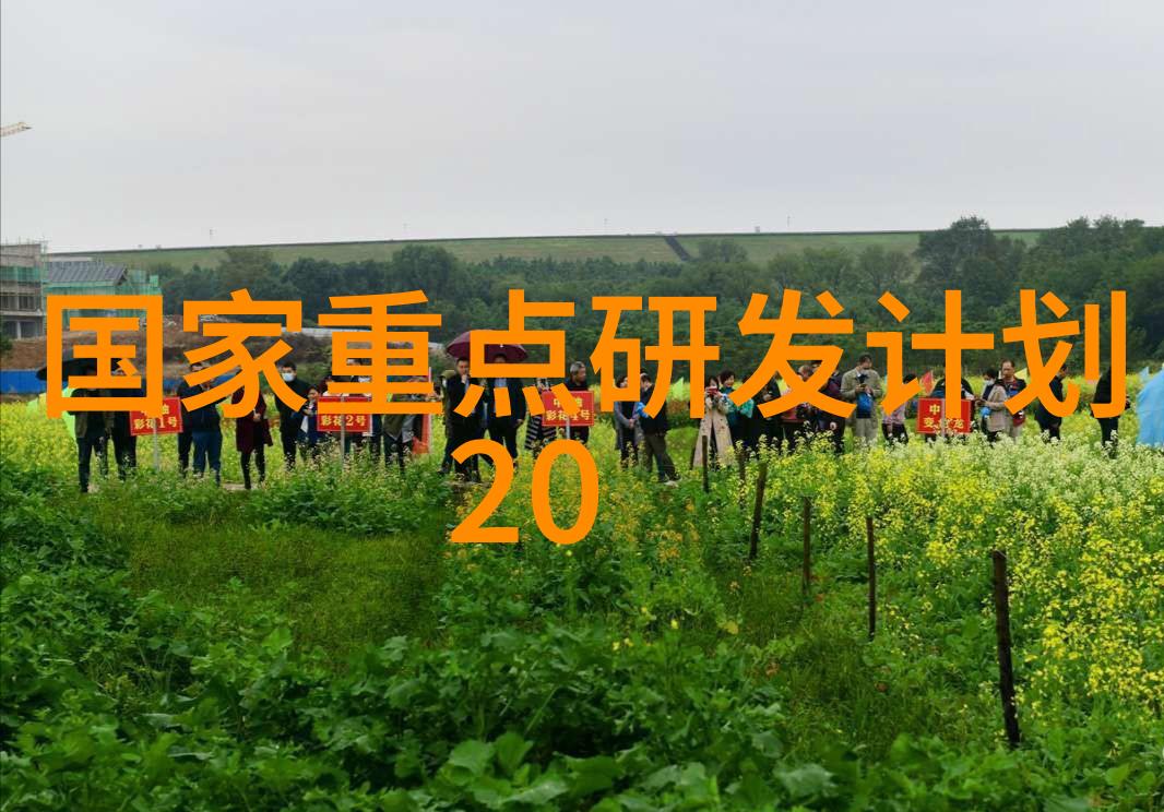 老太太的丰富毛发BGMBGMBGM老太太的纵身发丝