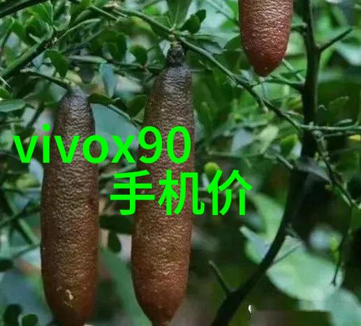 清新源自一体未来水净化革命的启示器