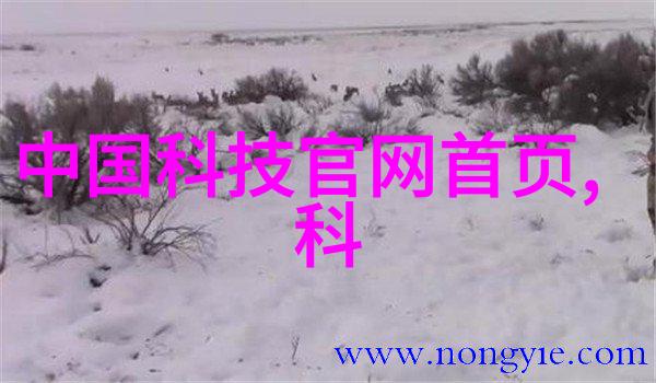化工片剂机械精细加工的关键技术与创新应用