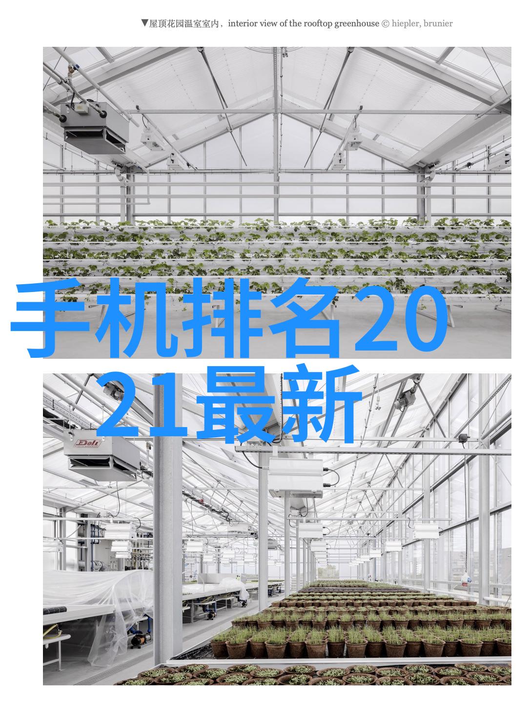 紧急雇佣水电维修工人团队5名专业技术人员日薪300元