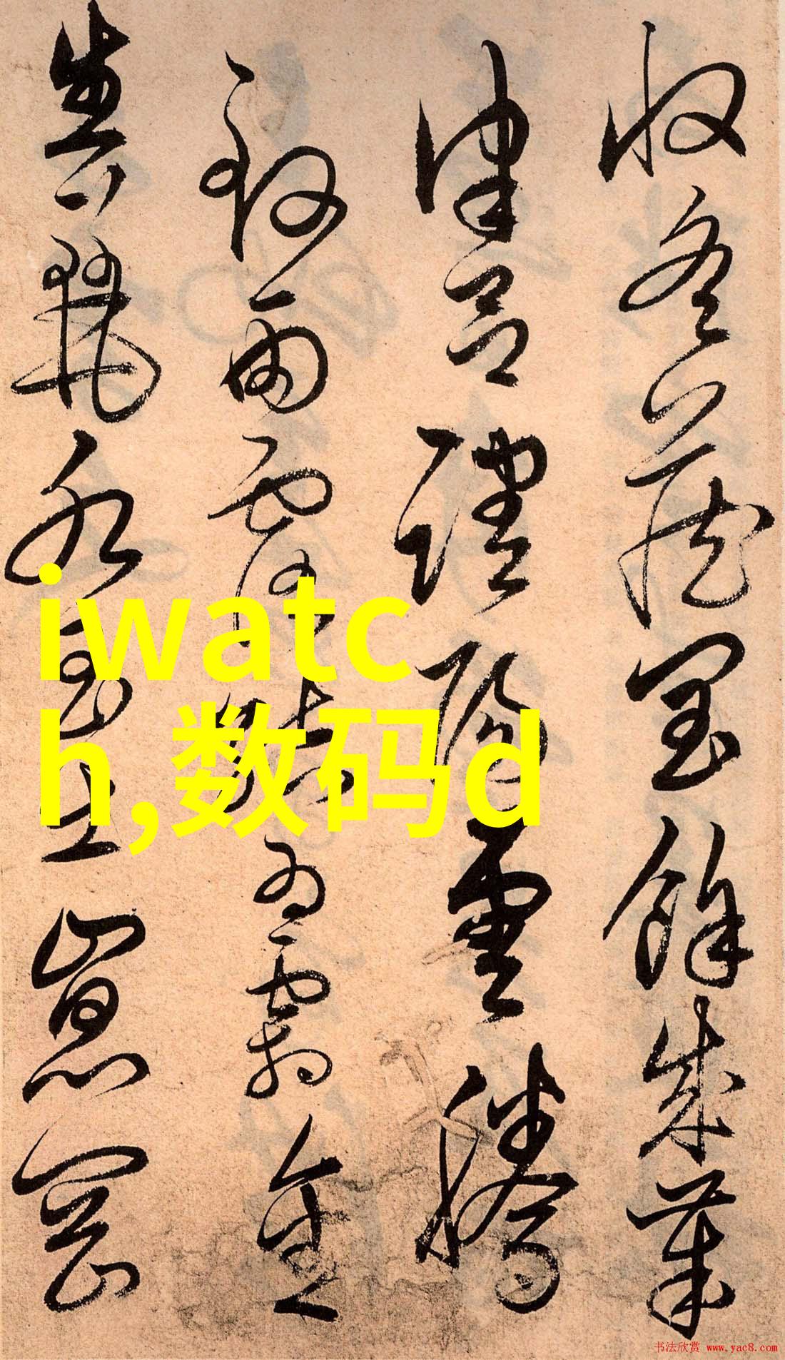 微波杀菌的科学原理高频振荡热能传递与细菌生长抑制机制