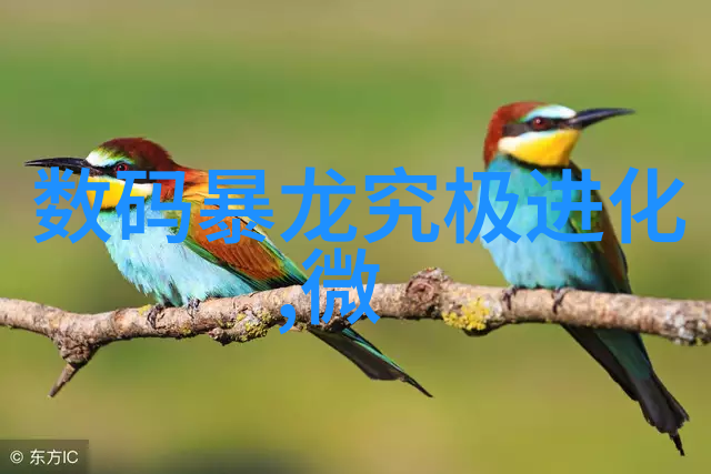家居装修-兔狗家装创意空间与宠物友好的完美结合