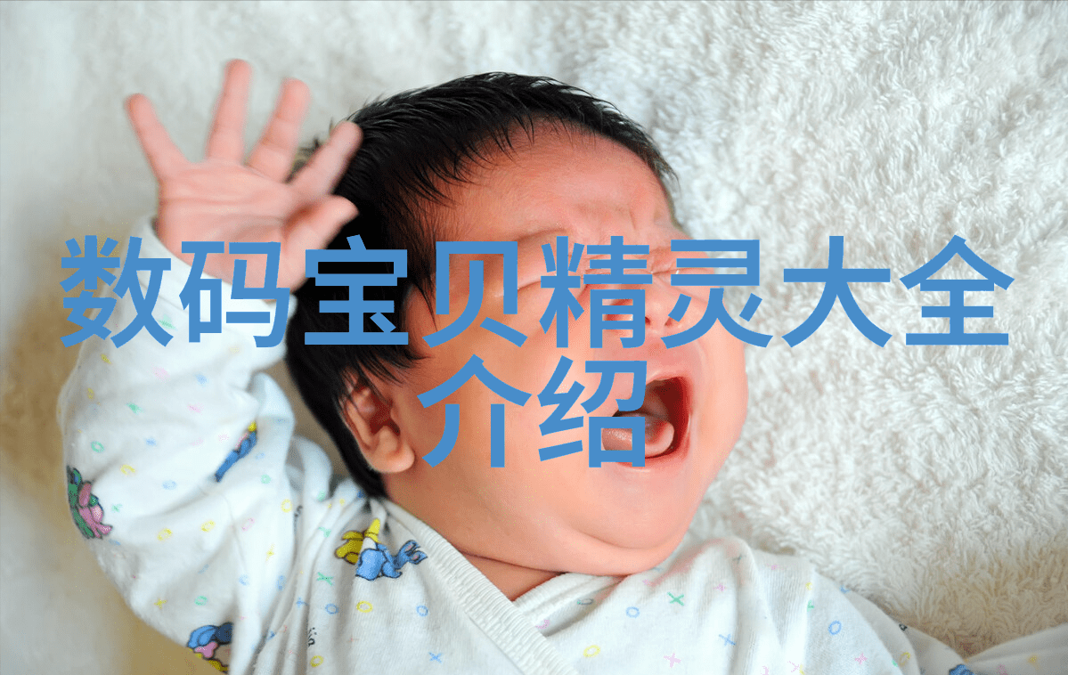 粘土泥石分离机的原理研究与应用展望基于粒度筛选技术的创新方案