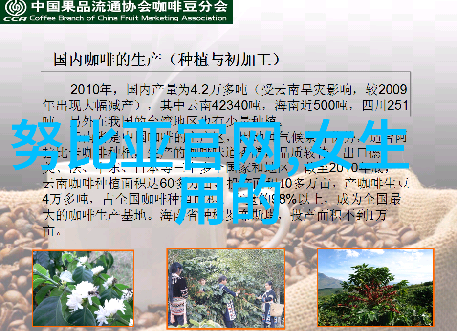 中央财经大学是985还是211你知道吗它其实是两者兼而有之
