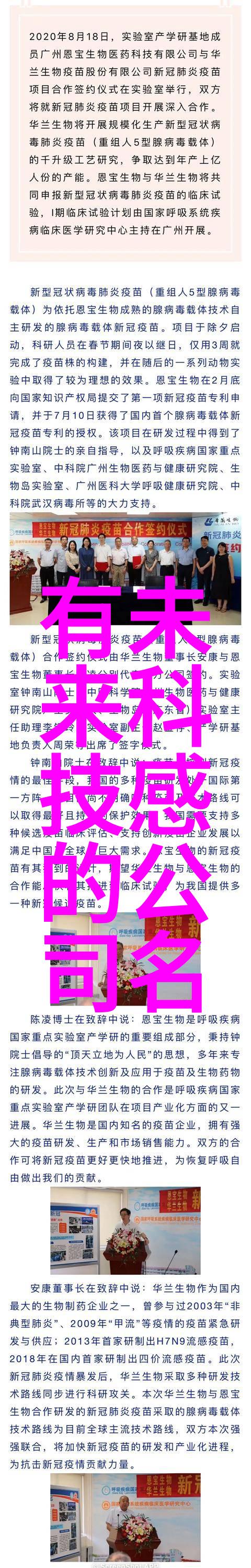 材料技术-pp填料在塑料制品中的应用与优势探究
