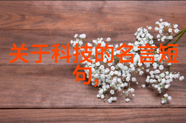 塔板施工中的丝网填料应用技术研究与实践