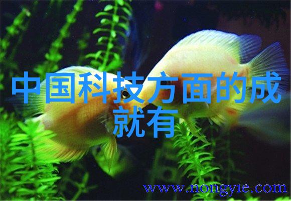 垃圾处理设备安装和调试的过程复杂吗