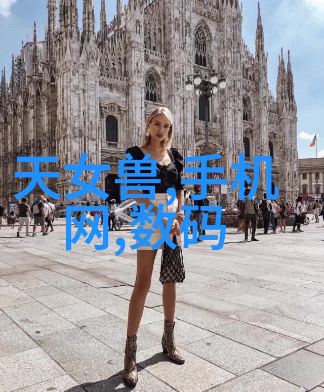 案由探究-揭秘每一宗案件背后的真相深度分析案由与法律程序