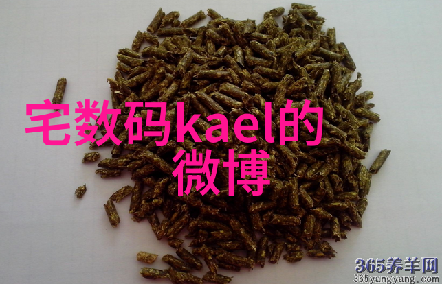 工业用天然气燃烧机-高效利用工业用天然气燃烧机的设计与应用
