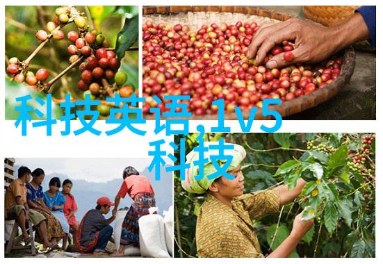 螺旋板冷凝器高效热交换的天然螺旋之谜
