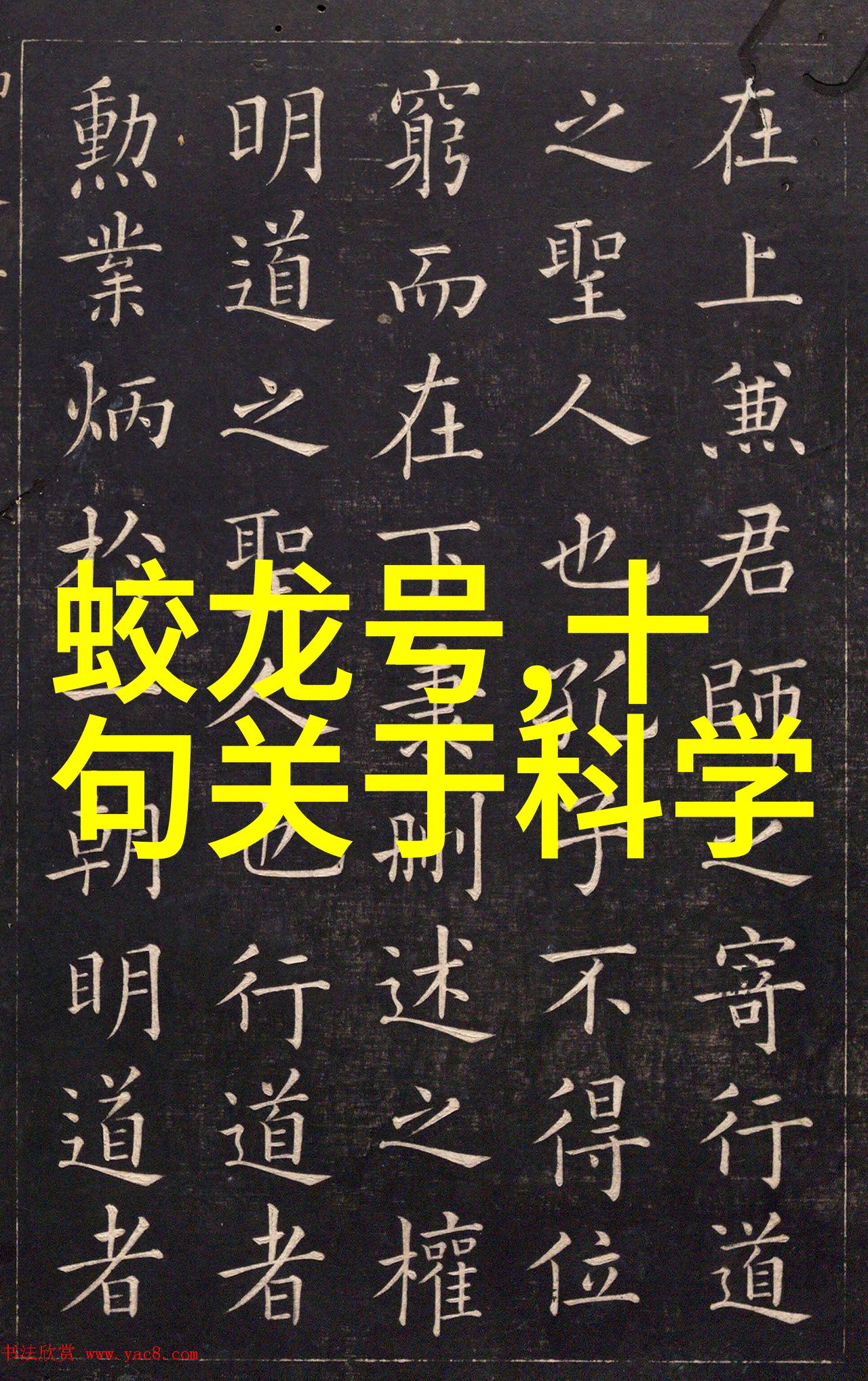 机械工程-高效能自动分离机器的设计与应用