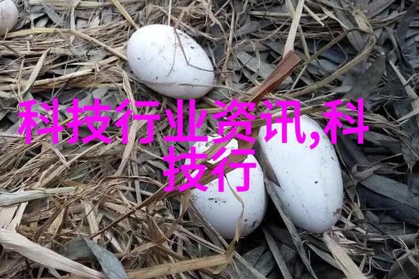 central財經大研學進修体验你准备好迎接知识的大海吗