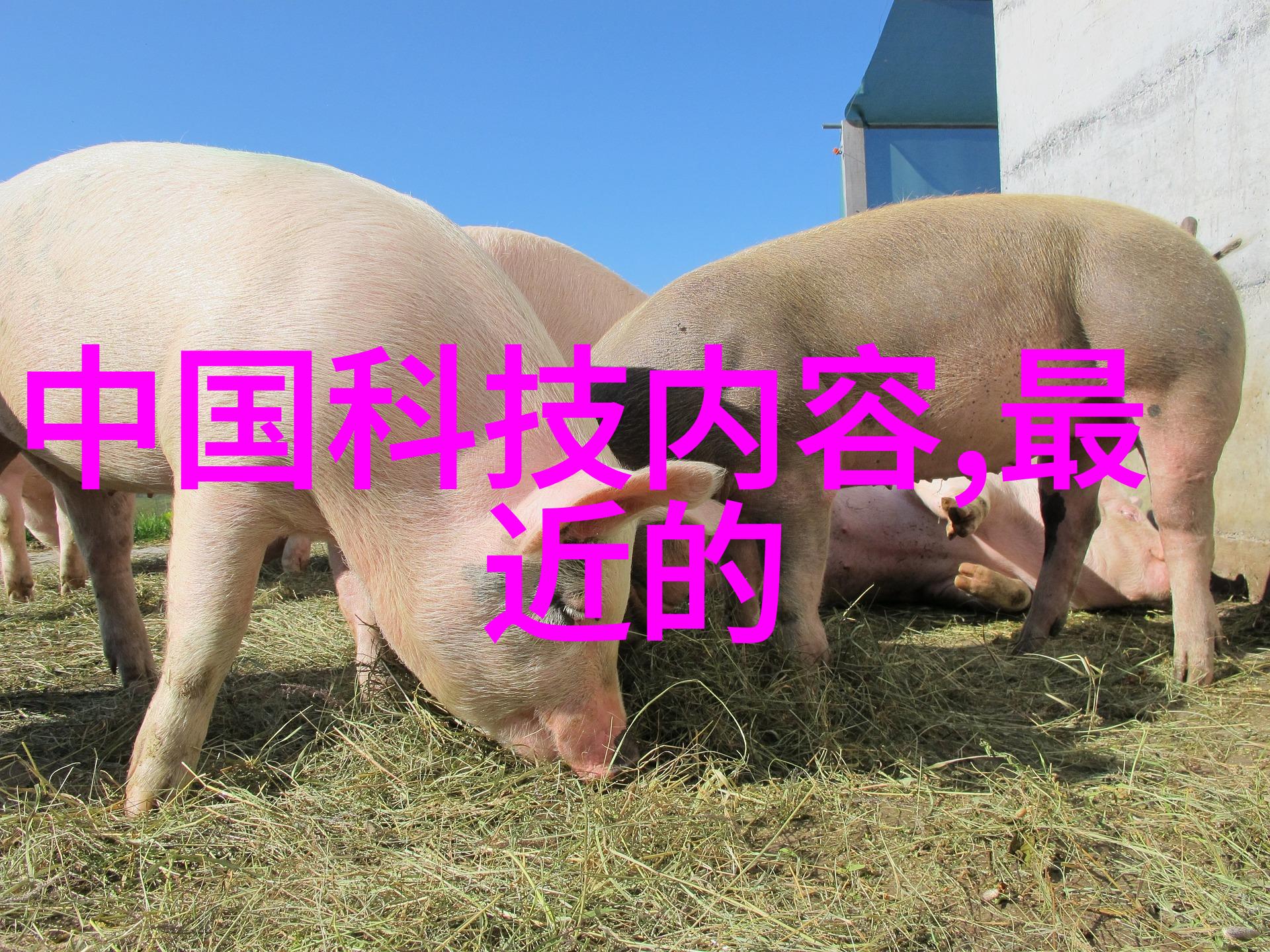 厨房梦想空间一场味觉与视觉的交响诗