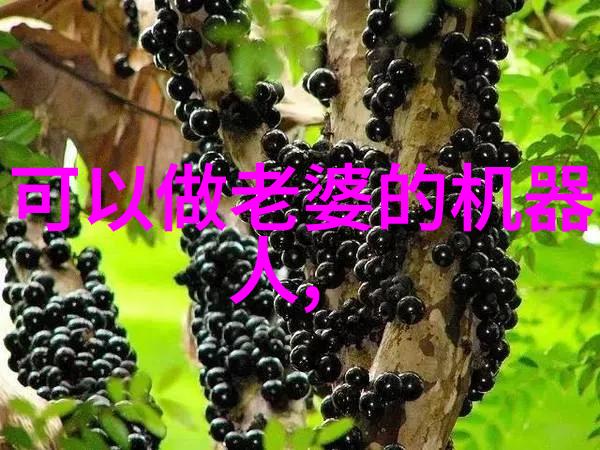 汽车配件大放送选购必备的装饰品与维修零件