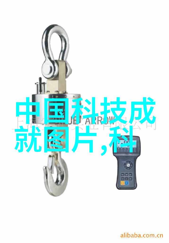 塑料反应釜生产厂家-高效智能化塑料反应釜生产厂家的技术革新与市场趋势