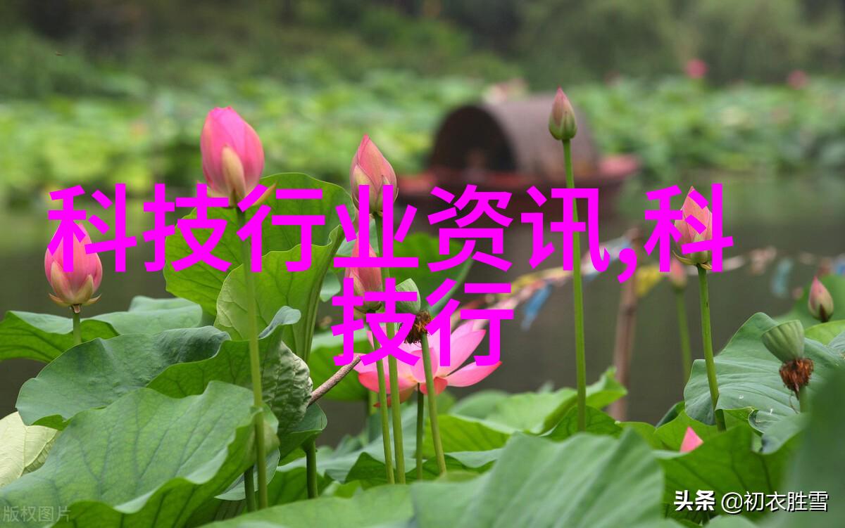 塑料管道的秘密生活水的流动者与静止者