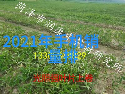 tds值高了怎么办如何降低总发散固体含量